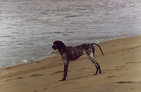 A Patty na praia