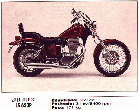 Suzuki LS 650 P